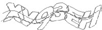 Check code