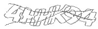 Check code