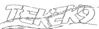 Check code
