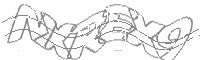 Check code