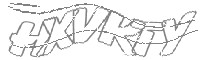 Check code