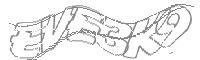 Check code