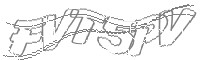 Check code