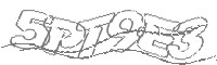 Check code