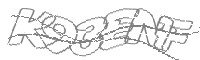 Check code