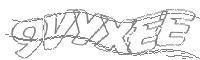 Check code